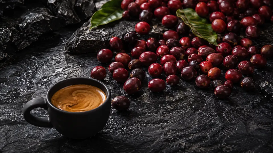 Čerstvo zozbierané kávové čerešne a espresso
